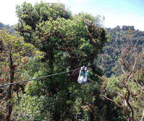 Zip Lining Monteverde