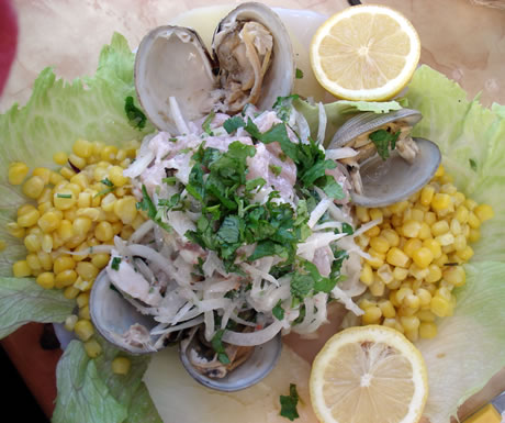 Ceviche is a typical fish dish