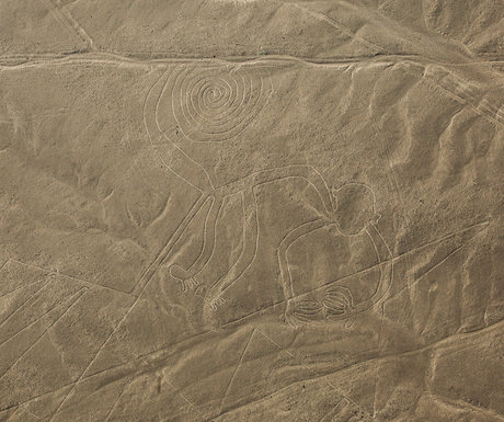 Monkey Nazca Line